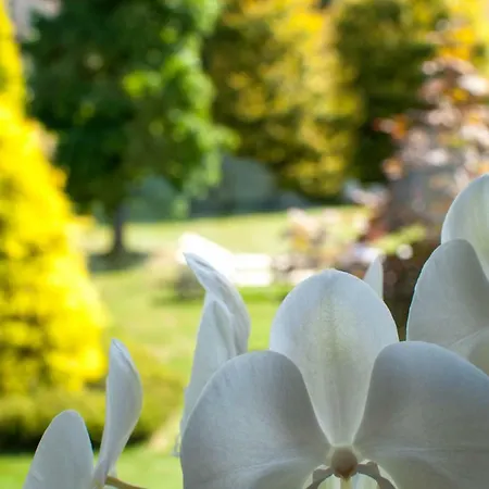 Il Giardino Segreto - Sport & Relax 펜션