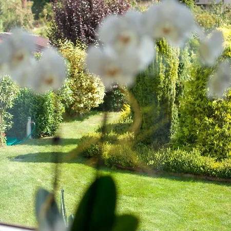 Il Giardino Segreto - Sport & Relax